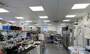 Ecopare LED lighting - clean room